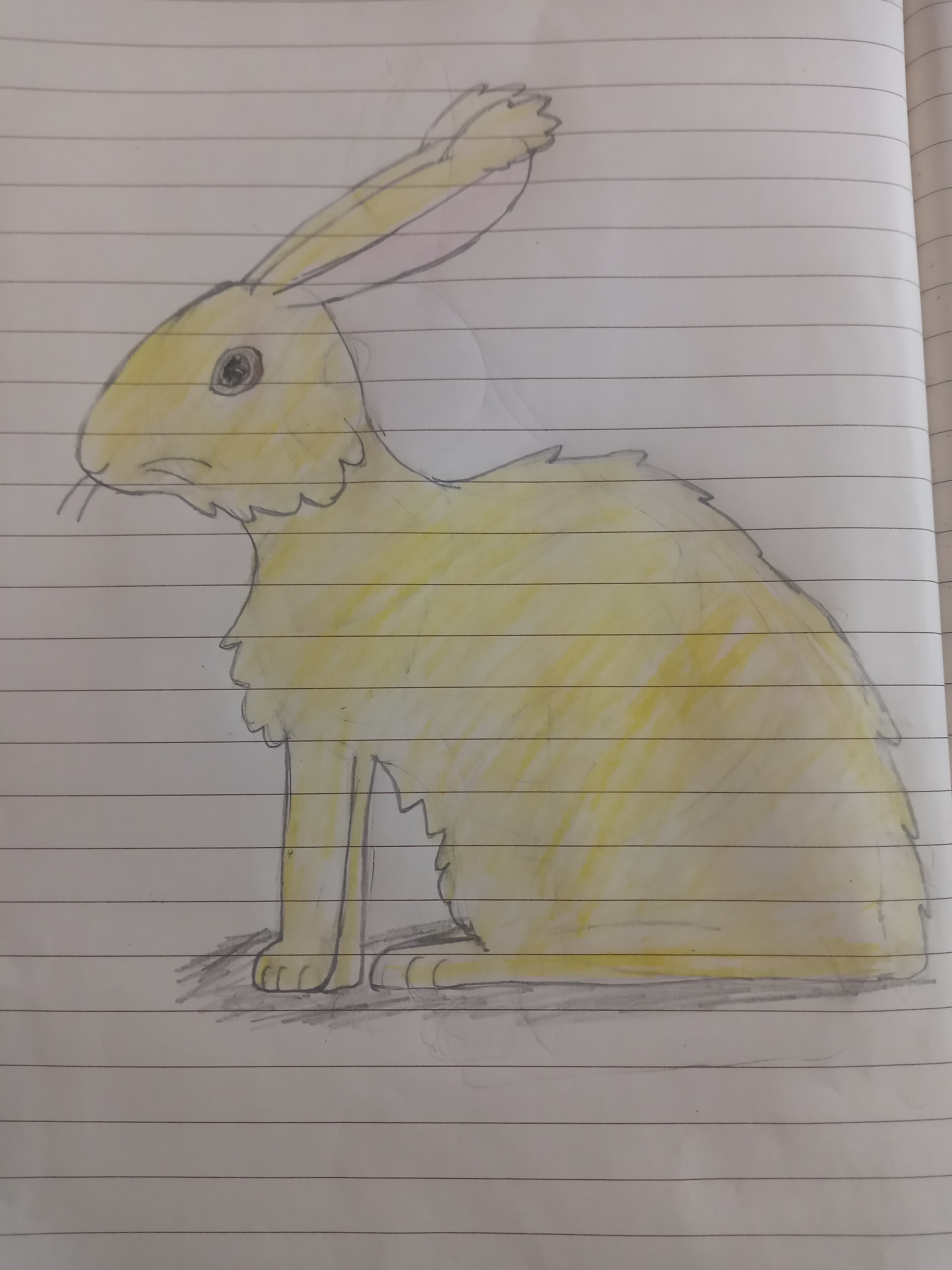 drawing of a yellow rabbit.